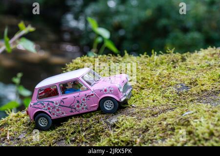 Scalextric Morris Mini Cooper 'Twiggy Flower Power' pink model car in a nature scene, on a mossy stone. Stock Photo