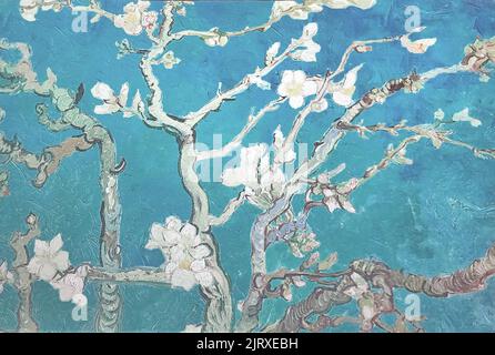 Almond blossom pattern on turquoise background Stock Photo