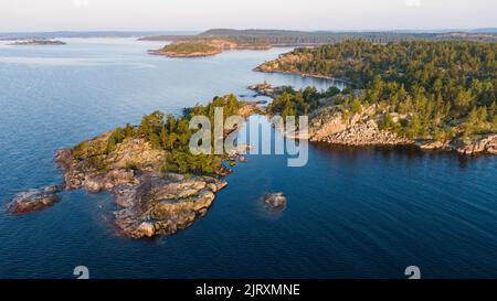 Aerial view of beautiful large pine trees on a banks of Muckross Lake ...