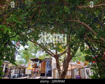 Views of Historic Downtown Cocoa, Florida in Summer Stock Photo