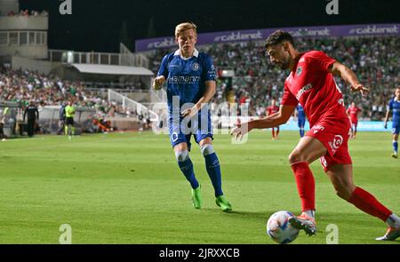 Omonia's Panagiotis Zachariou and Gent's Jens Petter pictured in action during a soccer game between Cypriot Omonia Nicosia and Belgian KAA Gent in Nicosia, Cyprus on Thursday 25 August 2022, the return leg of the play-offs for the UEFA Europa League competition. BELGA PHOTO DAVID CATRY Stock Photo