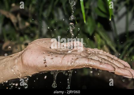 all about nature and wild animals living in tropical climates, especially south east asia Stock Photo