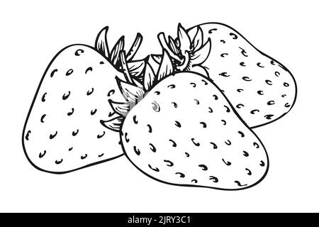 strawberry clipart black and white