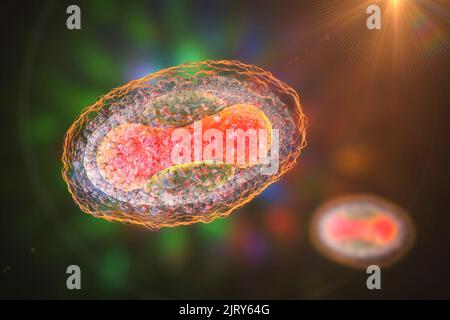 Molluscum contagiosum virus, illustration Stock Photo