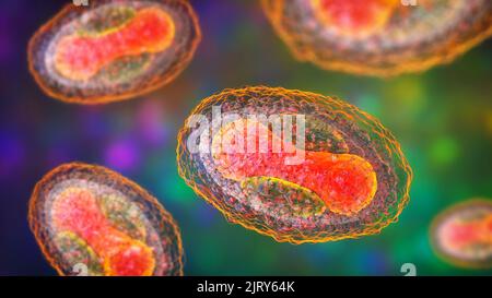 Molluscum contagiosum virus, illustration Stock Photo