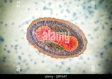 Molluscum contagiosum virus, illustration Stock Photo