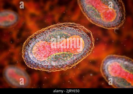 Molluscum contagiosum virus, illustration Stock Photo