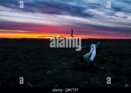 Cool landscape picture over landscape i sweden. sunset and ocean. nice landscape over the nice city in sweden Stock Photo