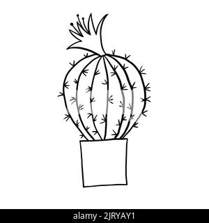 Cactus cacti succulent in a pot in black line outline cartoon style. Coloring book houseplants flowers plant for interrior design in simple minimalist design, plant lady gift Stock Photo