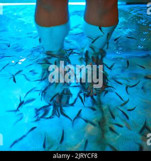 Theres no better way to exfoliate. an unidentifiable man standing in shallow water with fish swimming around his legs. Stock Photo