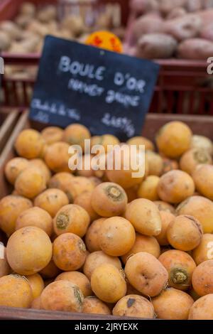 Historic market hall Marche couvert, turnip (Brassica rapa subsp. rapa), yellow turnip, Colmar, Alsace, France Stock Photo