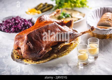 Roast goose with side dishes, red cabbage, roast, strudel, potato dumplings, pickles bread and pear distillate. Stock Photo
