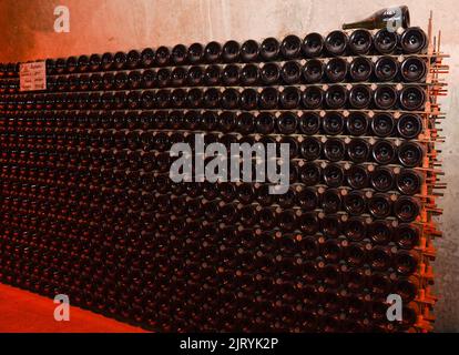 Champagne bottles with stock index card, Ruinart champagne cellar in Reims, France. Stock Photo