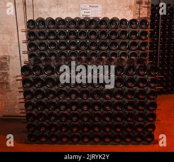 Champagne bottles with stock index card, Ruinart champagne cellar in Reims, France. Stock Photo