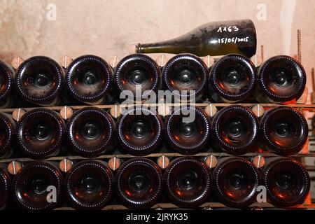 Champagne bottles with stock index card, Ruinart champagne cellar in Reims, France. Stock Photo