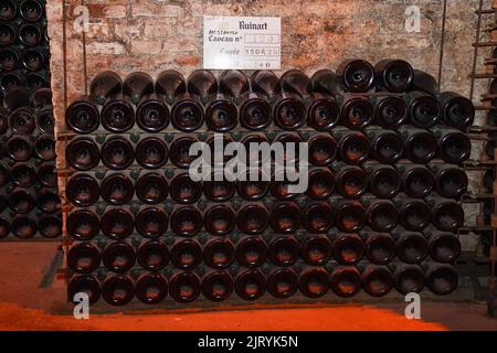 Champagne bottles with stock index card, Ruinart champagne cellar in Reims, France. Stock Photo