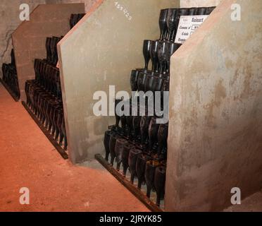 Champagne bottles with stock index card, Ruinart champagne cellar in Reims, France. Stock Photo