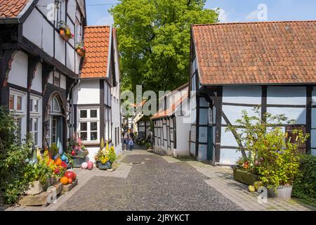 Alley with half-timbered houses, Tecklenburg, North Rhine-Westphalia, Germany Stock Photo