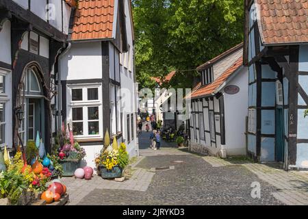 Alley with half-timbered houses, Tecklenburg, North Rhine-Westphalia, Germany Stock Photo