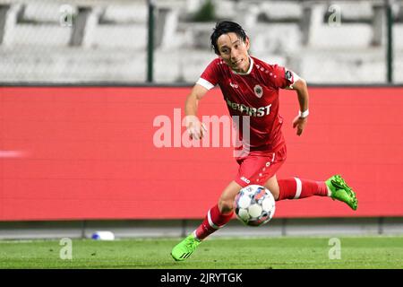 ANTWERP - Koji Miyoshi of Royal Antwerp FC during the UEFA Conference League play-off match between Royal Antwerp FC and Istanbul Basaksehir at Bosuil stadium on August 25, 2022 in Antwerp, Belgium. ANP | Dutch Height | GERRIT FROM COLOGNE Stock Photo