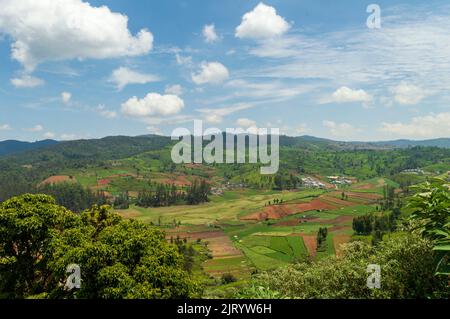 Towering mountains, sprawling tea gardens, nature's gift of greenery everywhere is the way one can explain the beauty of Ooty. Stock Photo