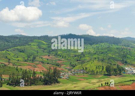 Towering mountains, sprawling tea gardens, nature's gift of greenery everywhere is the way one can explain the beauty of Ooty. Stock Photo