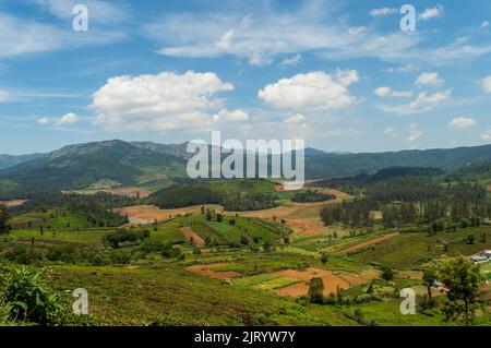 Towering mountains, sprawling tea gardens, nature's gift of greenery everywhere is the way one can explain the beauty of Ooty. Stock Photo