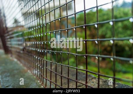 A fence is a structure that encloses an area, typically outdoors, and is usually constructed from posts that are connected by boards, wire, rails Stock Photo