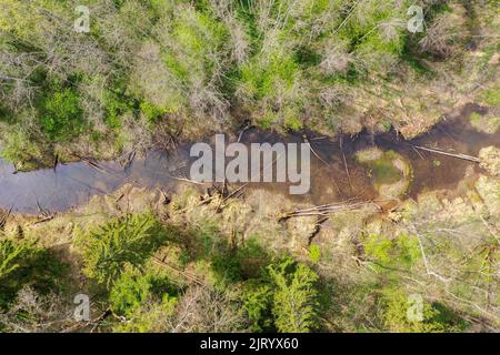 Aerial top down view of bendy river in spring Stock Photo