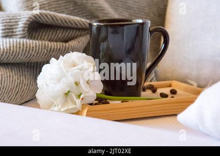 warm home atmosphere, a mug of freshly brewed coffee, grains, a notebook for records, a grey blanket and pillows. Stock Photo