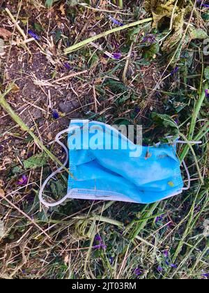Used blue medical mask thrown in the park. Dirty surgical mask lies on the ground and grass. Medical waste disposal problem. Hygienic mask during a Stock Photo