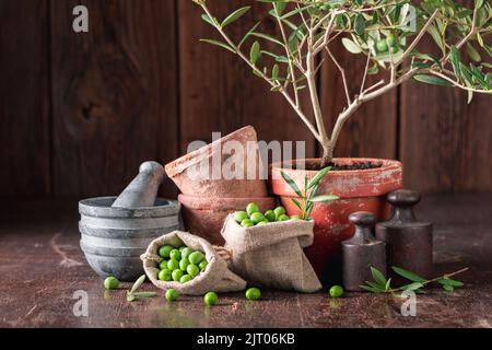 Small raw olives with a twig and mortar. Freshly picked green olives. Stock Photo