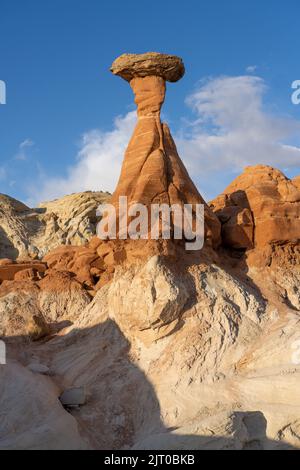 The Red Hoodoo or Toadstool Hoodoo, Paria Rimrocks, Grand Staircase-Escalante National Monument, Utah.  This hoodoo is an Entrada Sandstone pillar wit Stock Photo