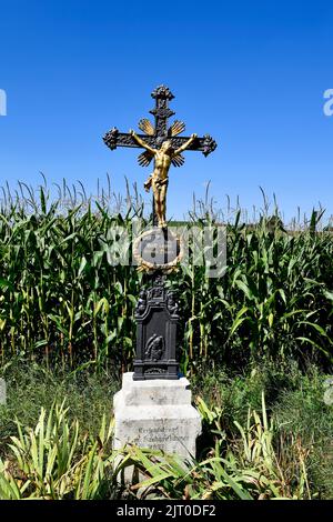 Corridor cross, cross on field, field, wayside cross, road cross, courtyard cross, God bless our fields, corn ready for harvest, corn field, hops, Stock Photo