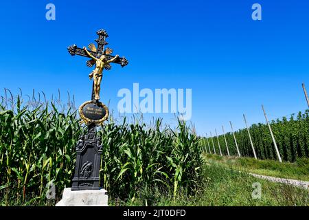 Corridor cross, cross on field, field, wayside cross, road cross, courtyard cross, God bless our fields, corn ready for harvest, corn field, hops, Stock Photo