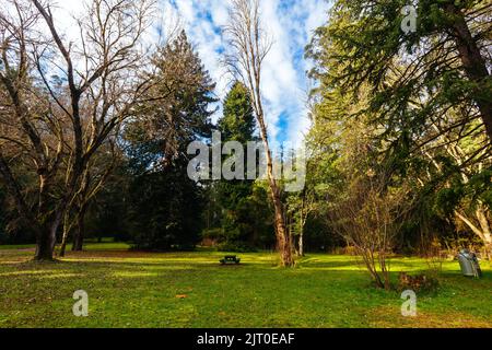 Fernshaw Picnic Ground in Victoria Australia Stock Photo