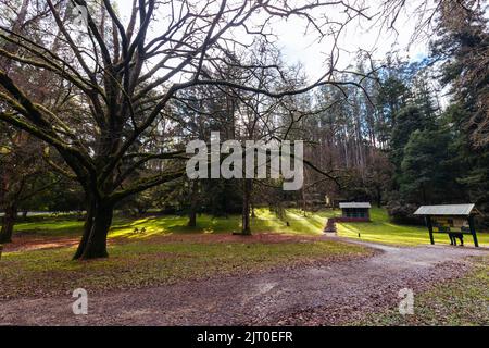 Fernshaw Picnic Ground in Victoria Australia Stock Photo