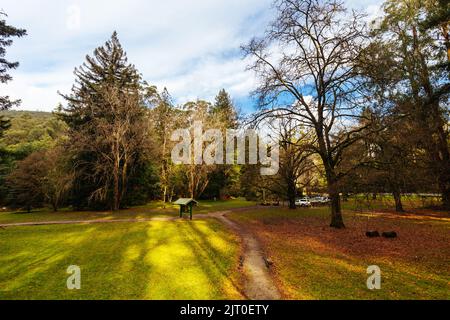 Fernshaw Picnic Ground in Victoria Australia Stock Photo