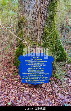 Fernshaw Picnic Ground in Victoria Australia Stock Photo