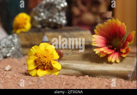 Yellow Flower With Pyrite Rocks and Crystals on Australian Red Sand Stock Photo