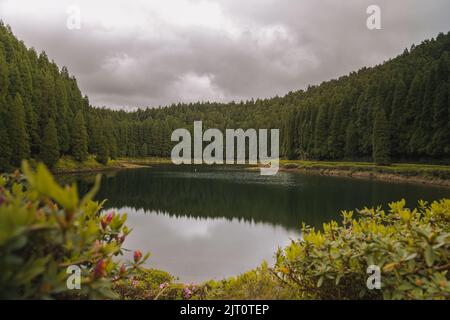 Mesmerizing view of lake Lagoa das Empadadas surrounded by green pine forest, located on Sao Miguel, Azores, Portugal on cloudy day Stock Photo
