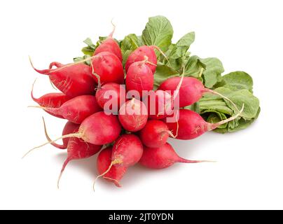 radish path isolated on white Stock Photo