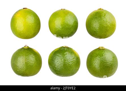 lime path isolated on white Stock Photo