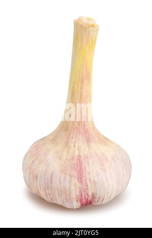 garlic path isolated on white Stock Photo