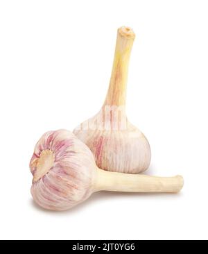 garlic path isolated on white Stock Photo