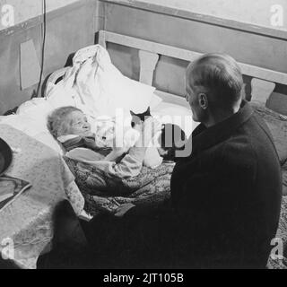 In the 1950s. An elderly lady is lying in bed, perhaps she has a cold or is sick in some other way. She has a warm scarf around her neck. She is comforted by a man and two cats who she is seen cuddling with. Sweden 1950s Stock Photo