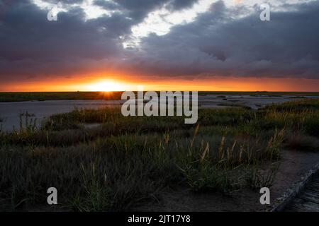 Sonnenuntergang in den Salzwiesen Stock Photo