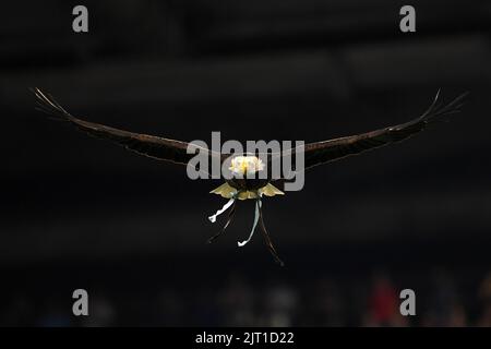 Rome, Italy. 26th Aug, 2022. Lazio's eagle mascot Olimpia flies before the Serie A match between SS Lazio and FC Internazione at Stadio Olimpico on on August 26, 2022 in Roma, Italy. Photo by Nicola Ianuale. Credit: UK Sports Pics Ltd/Alamy Live News Stock Photo