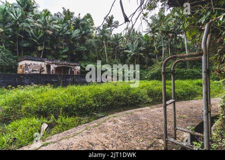 Swim Ladder Abandon Bano Oro Swim area in El Yunque National Forest, Puerto Rico Stock Photo