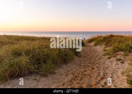 Path through grassy sand dunes to a beach at sunset in autumn Stock Photo